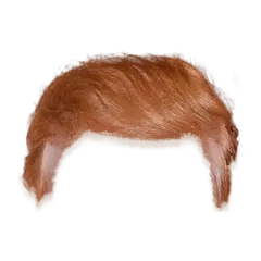 Trump あなたの髪 アプリダウンロード