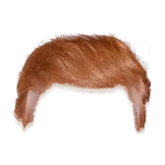 Trump 你的頭髮