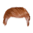 Trump your hair icon