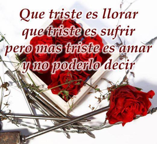 Palabras para corazon triste APK للاندرويد تنزيل Palabras para corazon triste APK للاندرويد تنزيل