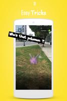 Cheats Pokemon Go Affiche