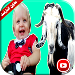 بيبي ادم جوعان فيديو | فوزي موزي وتوتي