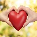 liebe dich Worte APK