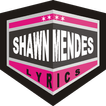 Shawn Mendes at Palbis Lyrics