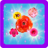 Blossom Blast Star simgesi