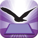 3D LEARNING CARD BIRDS APK