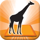 3D LEARNING CARD SAFARI APK