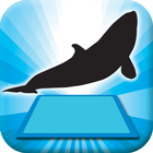 3D LEARNING CARD SEA ANIMALS icon