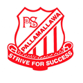 Pallamallawa Public School