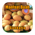 Manfaat Buah Gandaria