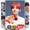 BTS V Kim Taehyung Wallpaper KPOP Live 3D APK