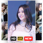 Jisoo Blackpink Wallpaper KPOP Live 3D icône