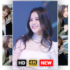 Jisoo Blackpink Wallpaper KPOP Live 3D アイコン