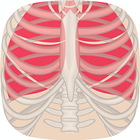 e-Anatomy アイコン