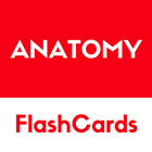 Anatomy -  free simple flashcards based reference ícone
