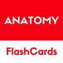 Anatomy -  free simple flashcards based reference APK