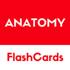 Anatomy -  free simple flashcards based reference иконка