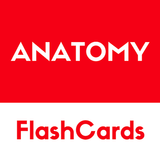 Anatomy -  free simple flashcards based reference आइकन