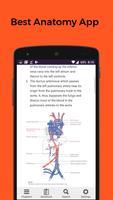 Anatomy -  free simple flashcards based reference постер