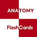 Anatomy FlashCards APK