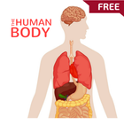 The Human Body أيقونة