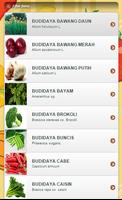 Various Vegetables স্ক্রিনশট 2