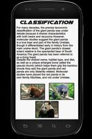 Panda Info Book capture d'écran 2