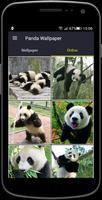 Panda Wallpaper capture d'écran 1