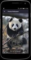 Panda Wallpaper capture d'écran 2