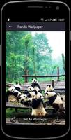 Panda Wallpaper capture d'écran 3