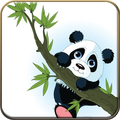 Panda Animated Wallpapers