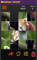 Wild Lion And Animal Jigsaw Puzzles screenshot 3