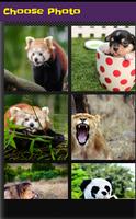 Wild Lion And Animal Jigsaw Puzzles screenshot 1