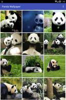 Panda Wallpaper اسکرین شاٹ 1