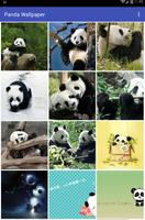 Panda Wallpaper اسکرین شاٹ 2