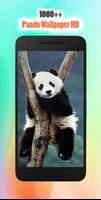 Panda Wallpaper Phone HD Affiche