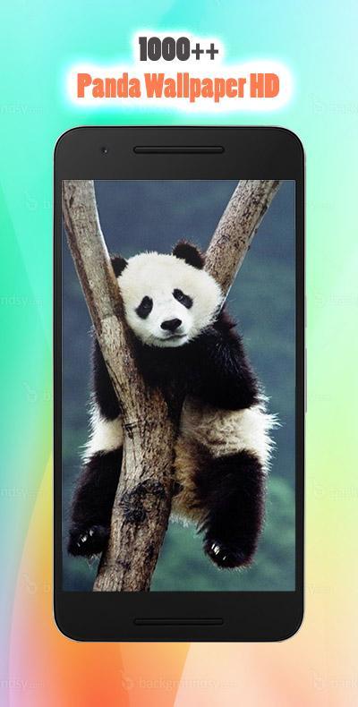 Panda Wallpaper Phone HD APK for Android Download Panda Wallpaper Phone HD APK for Android Download