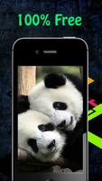 Panda Wallpapers اسکرین شاٹ 1