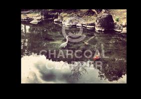 Charcoal Clapper screenshot 1