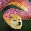 Doge Snake