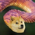 Doge Snake icône