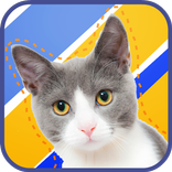 Cut Paste Photo Effect