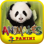 Animales Panini