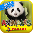 APK Animales 2013