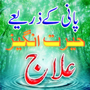 Pani Sy Elaj APK