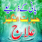 Pani Sy Elaj icon