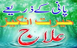 Pani Sy Elaj poster