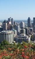 Montreal Game Jigsaw Puzzles poster