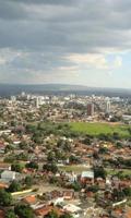 Goiania Game Jigsaw Puzzles screenshot 2