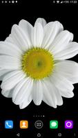 Chamomile live Wallpaper ảnh chụp màn hình 1